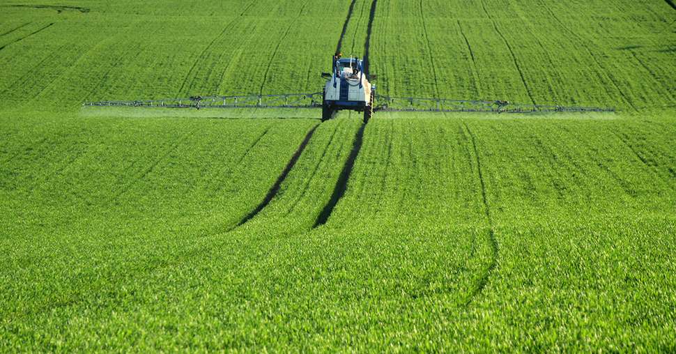 98% des agriculteurs sont prêts à réutiliser les solutions fongicides à base d'Inatreq™ active. Credit: DjiggiBodgi.com/Adobestock