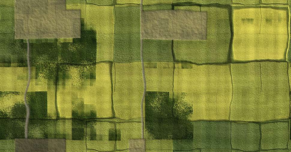 L'imagerie satellite pour suivre l'évolution de la jaunisse sur les parcelles de betteraves. ©kentoh Adobestock.jpeg