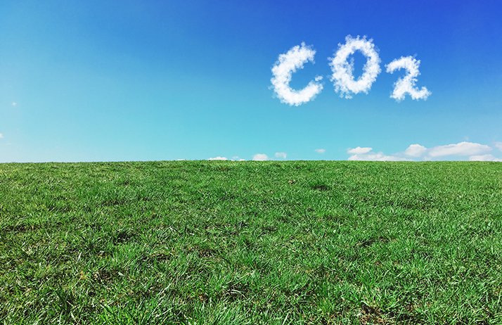 Le prix de la tonne de CO2 pourrait devenir une belle manne financière pour l’agriculture si elle se donne les moyens de devenir une véritable solution au carbone. © TeamDaf/Adobe Stock