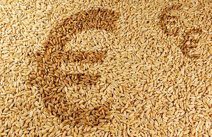 Répercuter la hausse du blé sur les produits finis. © Elypse/Adobe Stock