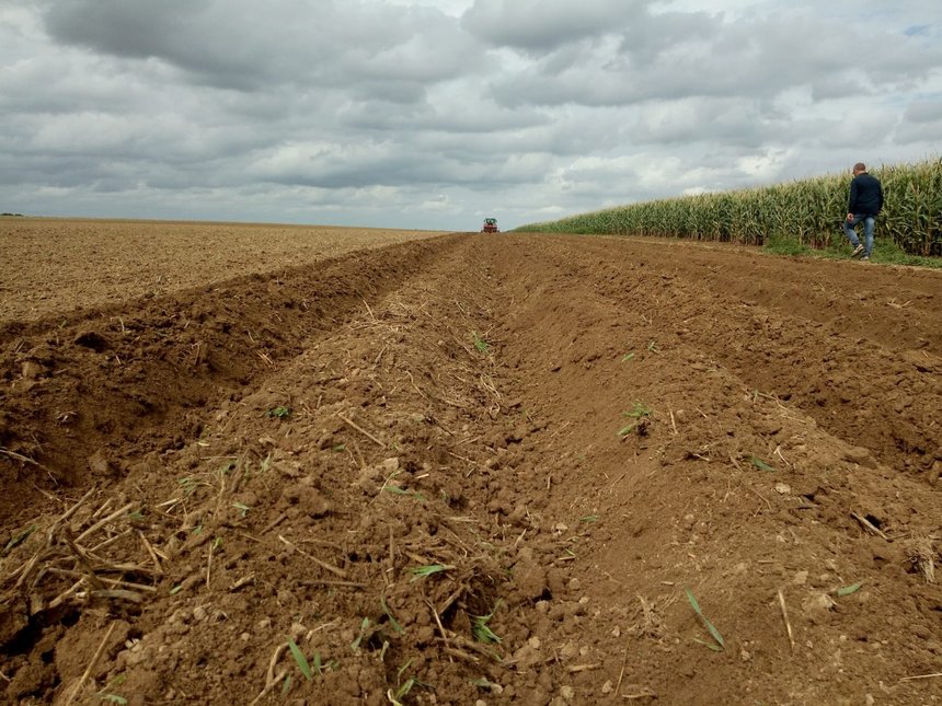 Prébuttage d'été en prévision de la plantation de pommes de terre en direct. Crédit photo : Fabien Monte