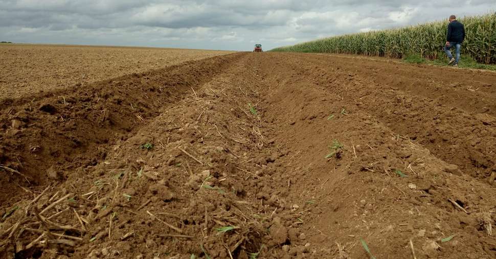 Prébuttage d'été en prévision de la plantation de pommes de terre en direct. Crédit photo : Fabien Monte
