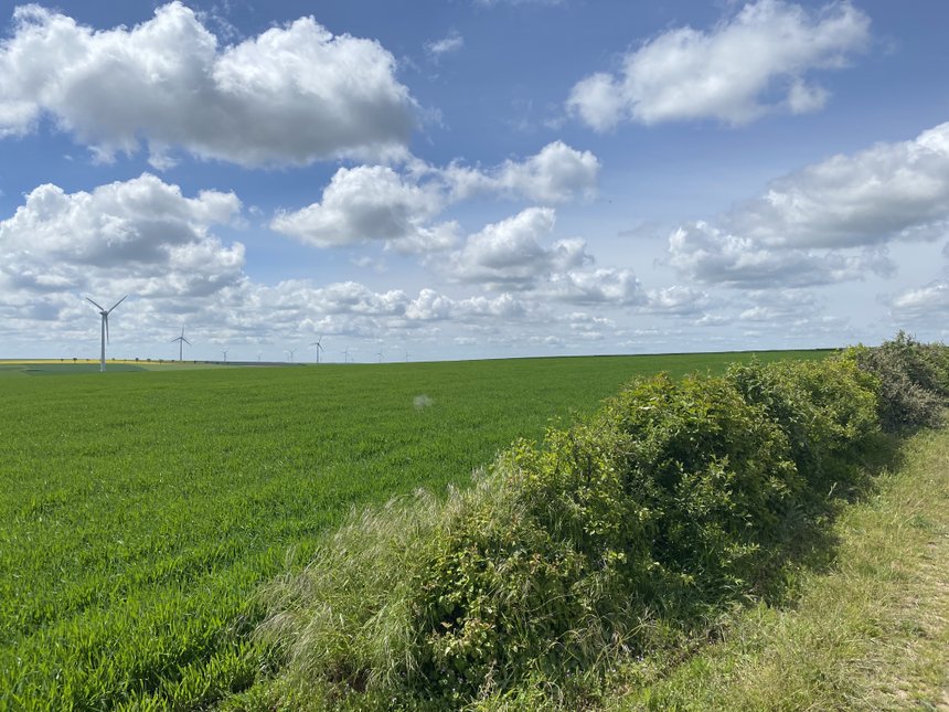 Pour compenser la mise en place d'éoliennes, Engie Green continue la mise en place "d'équivalences écologiques", notamment dans la région Champagne-Ardenne. Photo : DR