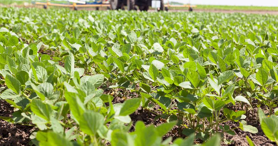Le 28 avril 2021, le ministre de l’Agriculture, Julien Denormandie, a annoncé l’ouverture d’un second dispositif d’aides à l’acquisition d’agroéquipements dans le cadre du plan protéines. Photo : wellphoto 
