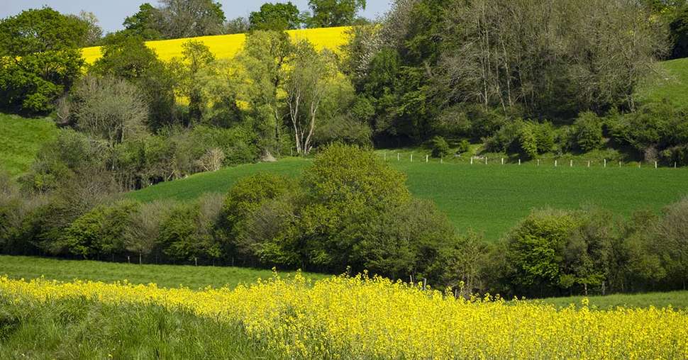 Mesurer la quantité de CO2 que peuvent absorber ou émettre les parcelles agricoles en fonction des systèmes de production. Photo : FineBokeh 