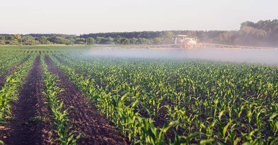 L’association française pour les adjuvants (AFA) communique sur le taux d’utilisation des adjuvants pour les traitements phytosanitaires. Photo : Oleksandr