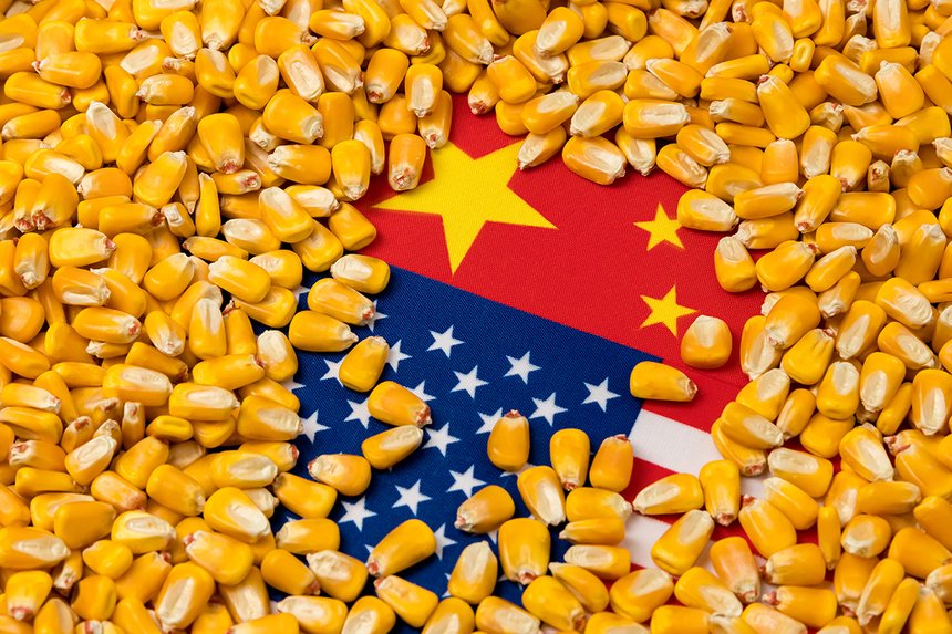 Quelles stratégie la Chine va-t-elle adopter pour ses approvisionnements en maïs ? Photo :  JJ Gouin 