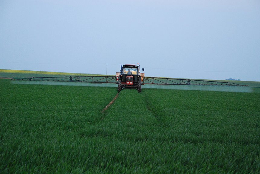 Le biocontrôle doit se contenter du T1 pour l’instant lorsqu'il est nécessaire sur blé. Photo : Pixel6TM