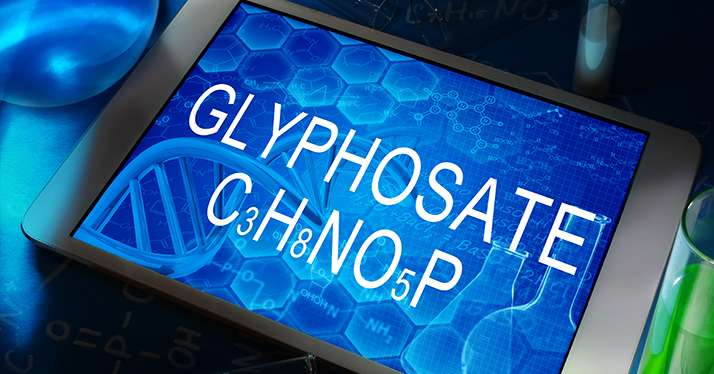 L’Anses publie ses dernières conclusions sur l’usage et les alternatives au glyphosate. ©&nbsp;Vitalii Vodolazskyi/Adobe Stock