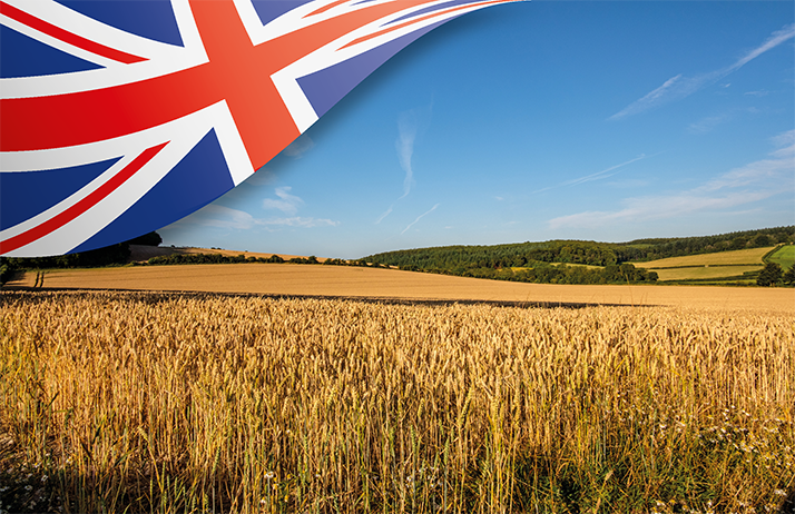 Le Royaume-Uni doit faire face à sa pire récolte depuis 40 ans. ©&nbsp;JwlOwen&nbsp;et Butenkow/Adobe Stock