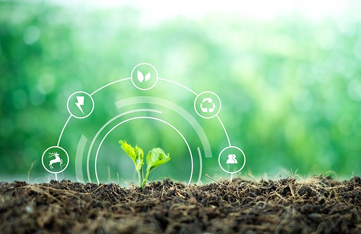 Greenback : une agence pour apprécier la santé des sols agricoles. © Yuttana Studio/Adobe Stock