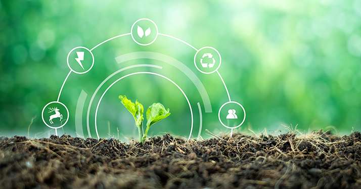 Greenback : une agence pour apprécier la santé des sols agricoles. © Yuttana Studio/Adobe Stock