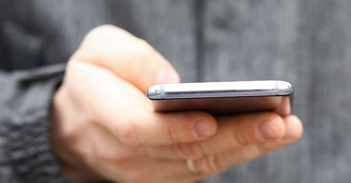 Un vieux Smartphone pour observer la prédation des auxiliaires des cultures. © Megaflopp/Adobe Stock