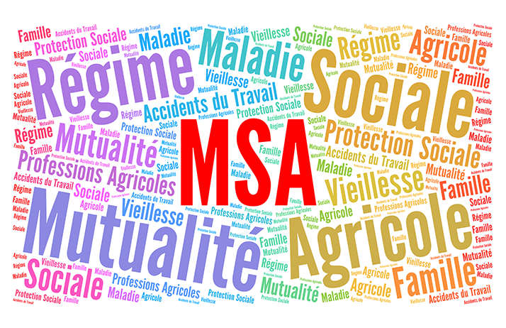 MSA : « Une gestion insuffisamment performante », selon la Cour des comptes. ©&nbsp;Ricochet64/Adobe&nbsp;Stock