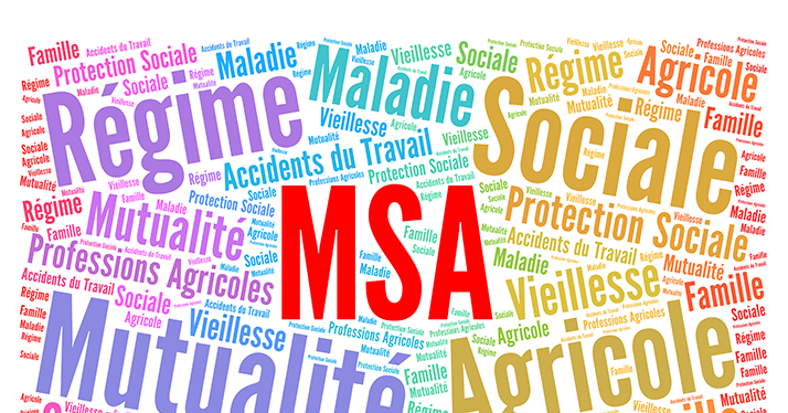MSA : « Une gestion insuffisamment performante », selon la Cour des comptes. ©&nbsp;Ricochet64/Adobe&nbsp;Stock