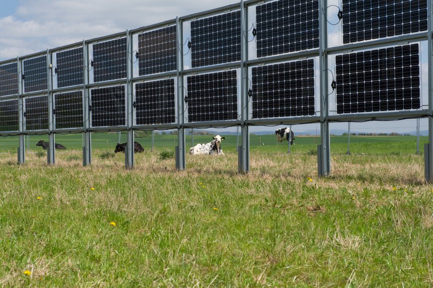 Les panneaux photovoltaïques verticaux proposés par la société Next2Sun vont être distribués en France exclusivement par Total Quadran. Crédit : Next2Sun