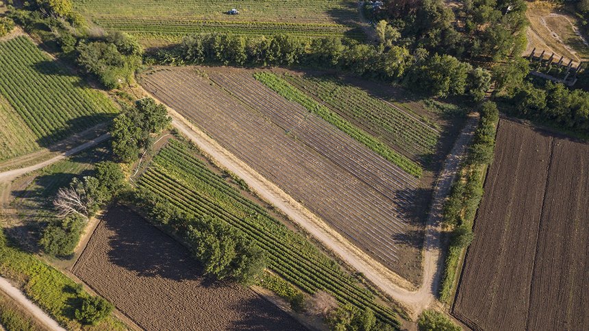 Une étude complète publiée fin novembre par le think tank Agriculture stratégie synthétise les arguments favorables à la régulation des terres agricoles. Photo : Stefano Tammaro 