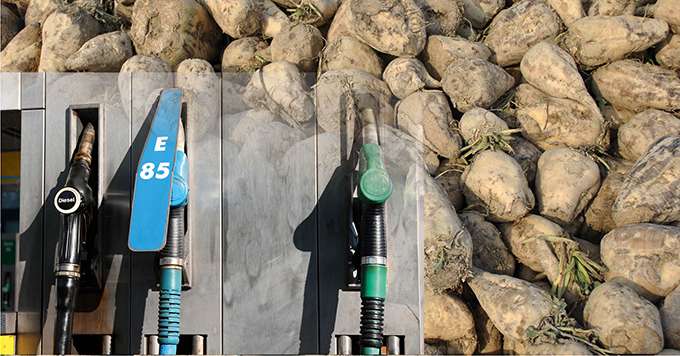 Éthanol : un bel avenir menacé par l'Europe. © JLLH et Björn Wylezich /Fotolia