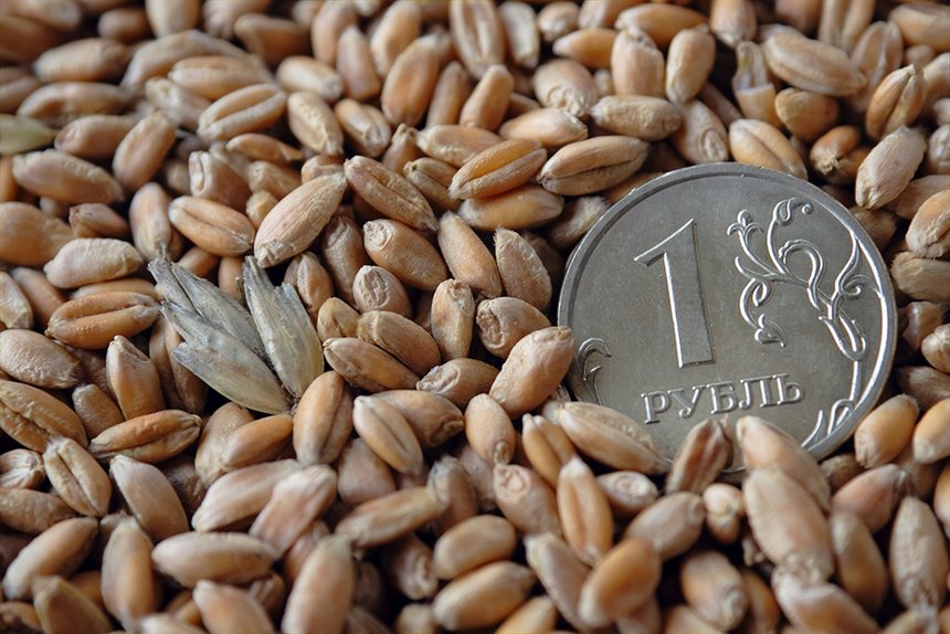L’idée d’un cartel des pays producteurs de blé ressurgit. Photo: Olexandr Kulichenko 