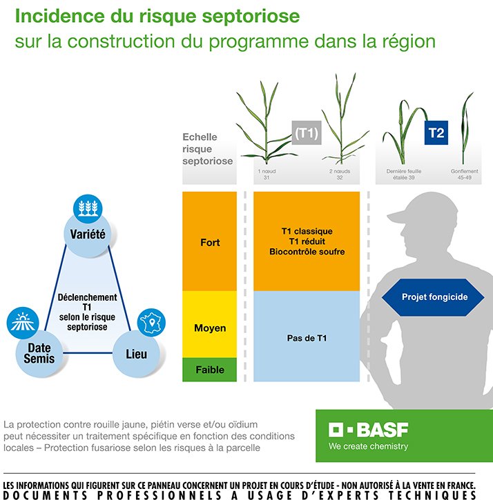 Incidence du risque septoriose. © BASF