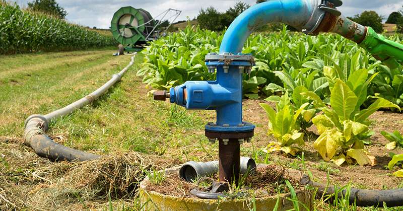 Jeudi 9 mai, le tribunal administratif de Poitiers a prononcé l’annulation des arrêtés réglementant l’irrigation sur les bassins du Marais poitevin et de la Charente. Photo :  jpr03 