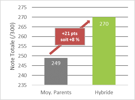 Comparaison entre la moyenne des parents et l'hybride correspondant