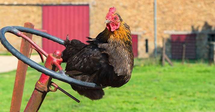 43% des exploitations agricoles valorisent 73% des surfaces. © Ivonne Wierink/Fotolia