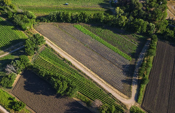 Les notaires veulent transformer le modèle foncier agricole français. ©&nbsp;Stefano Tammaro/Fotolia
