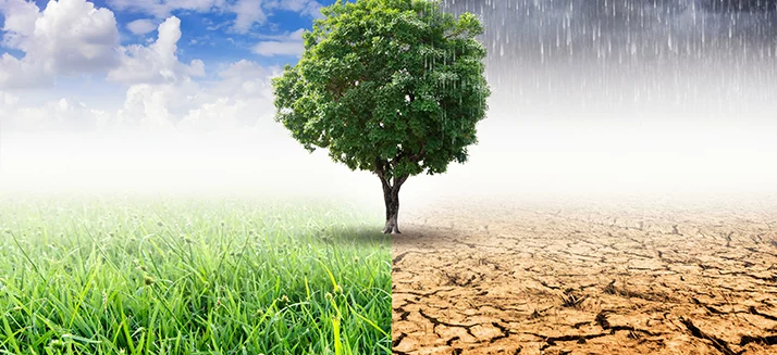 Adapter l'agriculture au changement climatique coû