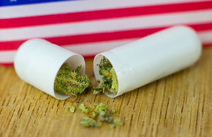 Marijuana :&nbsp;une diversification juteuse pour les farmers américains.&nbsp;© Konrad/Fotolia