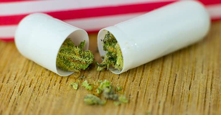 Marijuana :&nbsp;une diversification juteuse pour les farmers américains.&nbsp;© Konrad/Fotolia