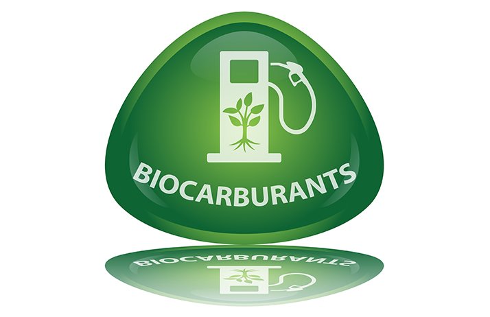 Bioéthanol :&nbsp;la France, leader européen de la production.&nbsp;© Pro web design/Fotolia