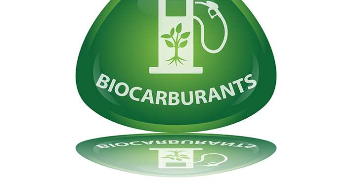 Bioéthanol :&nbsp;la France, leader européen de la production.&nbsp;© Pro web design/Fotolia