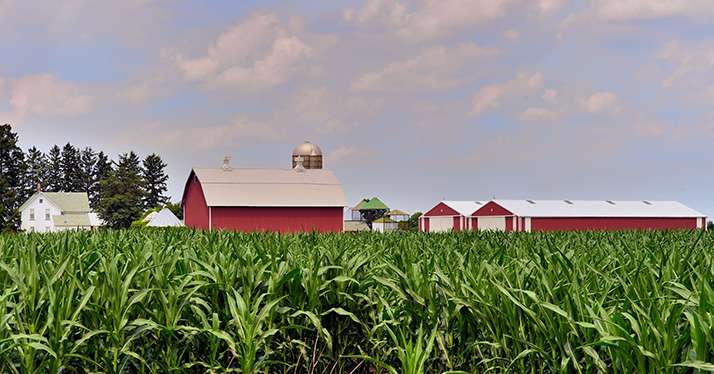 USA : le lobby du biocarburant au créneau.&nbsp;© Bruce_Fotolia
