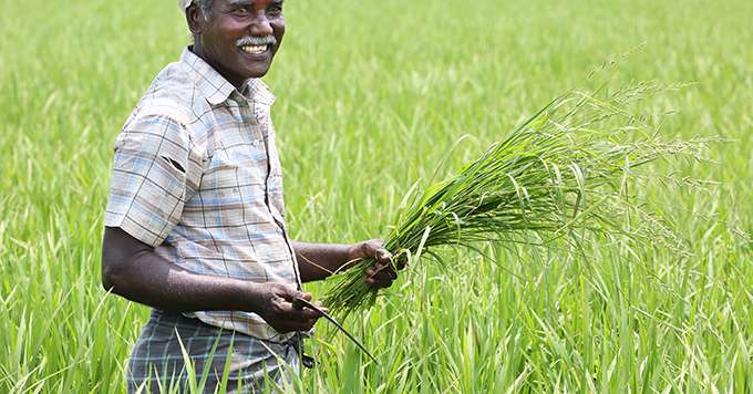 Au pays de Gandhi, tout est possible. © V.R.Murralinath/Fotolia