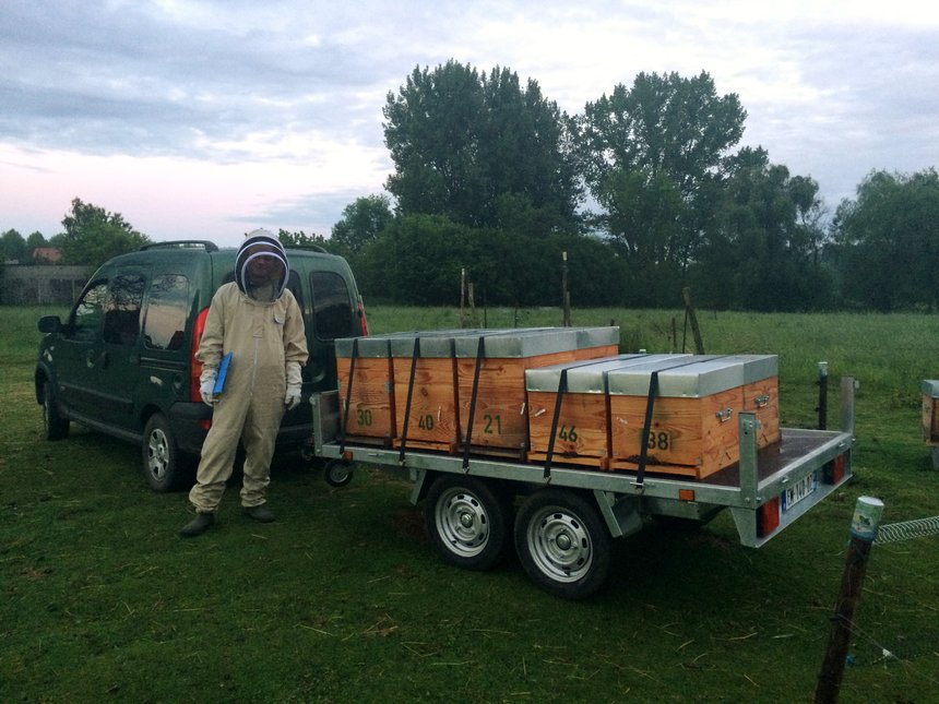 La Marne au secours des abeilles du Nord. © Coop de France déshydratation