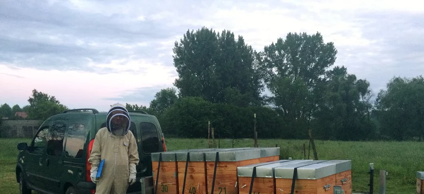 La Marne au secours des abeilles du Nord