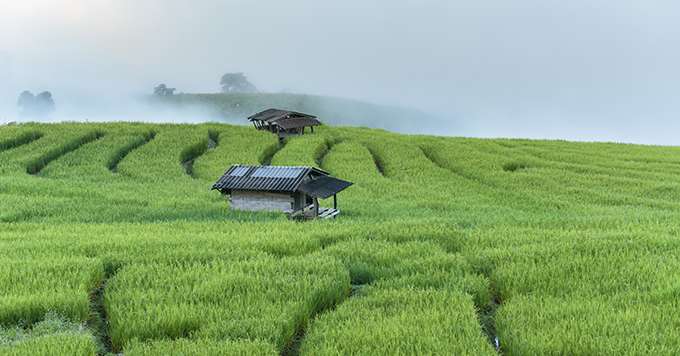 Nuffield : partez à la découverte des agricultures du monde. © Finallast/Fotolia