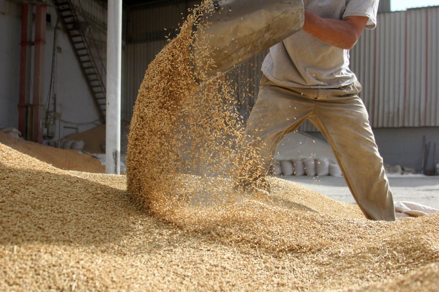 La consommation mondiale de céréales s'accroît. © Kybele/Fotolia