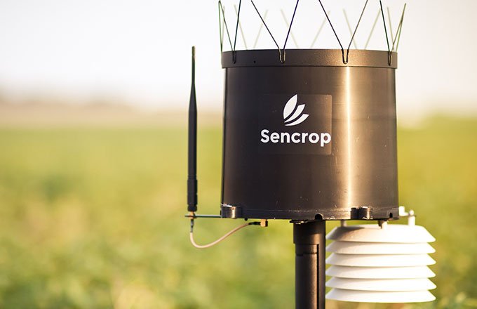 Désormais certifié Mileos®, Sencrop rend possible, pour toutes les exploitations, la prévention du mildiou à l'échelle ultra-locale de la parcelle. © Sencrop
