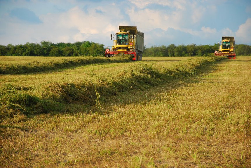 La production de fourrage déshydraté s’est établie à 745000 tonnes en France en 2016. © M. Lecourtier/Pixel image