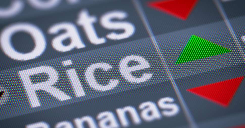 Marchés : faudra-t-il s’habituer à des prix faibles ? © Pavel Ignatov/Fotolia