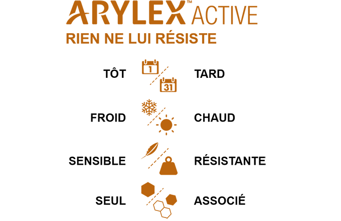 Un nouvel antidicot céréales à base d’Arylex Active. © Dow AgroSciences