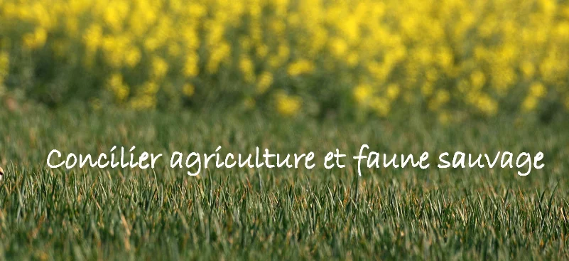Un nouveau site web pour Agrifaune