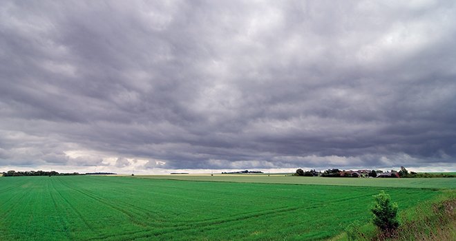 En 2016, le cumul de pluies très élevé sur la moitié Nord de la France au printemps a été mal pris en compte par les modèles de prévisions de récolte. Photo : Frédéric Bouvier / Fotolia