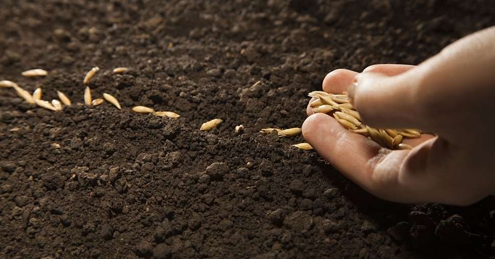 Commercialisation céréales : l’avenir ne se prévoit pas, il se prépare !© Chepko Danil/Fotolia