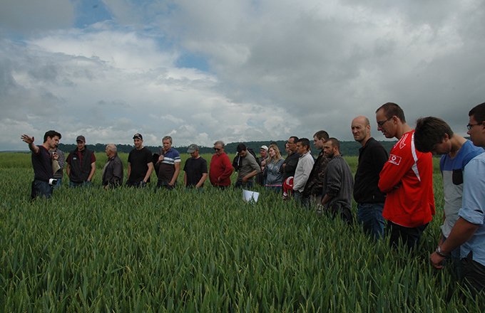 Xavier Rouyer (à g.), conseiller agronomie à la chambre d'agriculture de Meuse, a présenté l'expérimentation menée sur la ferme de Michel Bize, le 3 juin 2016, à l'occasion des journées Innov'action. DR