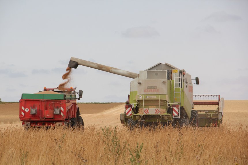 Une baisse de la production de blé tendre attendue. © H.Sauvage/Pixel Image 