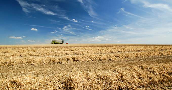 Dans leur dernière édition de leurs perspectives à 10 ans, l’OCDE et la FAO estiment que la période de prix élevés des matières agricoles de base est certainement dernière nous. 