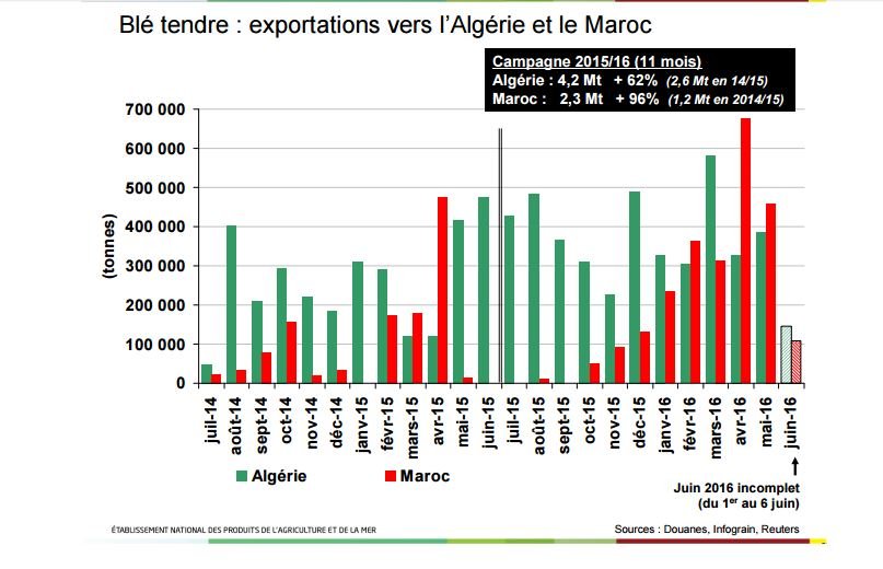 Blé tendre : exportations vers l'Algérie et le Maroc
